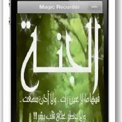 صالح المغنيين