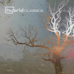 Disappear Here (surround)