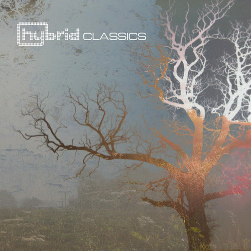 Disappear Here (surround)
