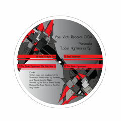 VVR 004 B1 Parassela - The Berlin Experiment (Die Roh Rmx 1)