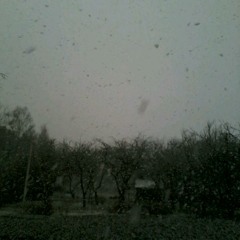OniQ - Sninga