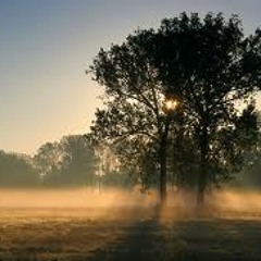 Psychill mix