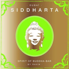 SIDDHARTA DUBAI *Lovely Flight* Complex Mode & Audioprophecy Ft Martina Govednik