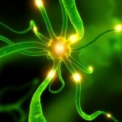 Nitrogenetics - Inside your head