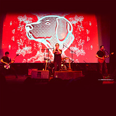 Gringoland- en vivo - JAPO