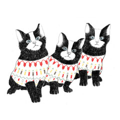 Don't Know Why - Norah Jones (Cover)