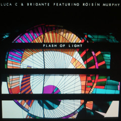 Luca C & Brigante feat. Roisin Murphy: Flash Of Light (Blond:ish Remix)