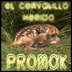 El Cervatillo Herido - ProMak // Bacile Records