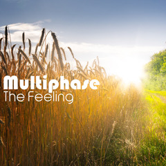 Multiphase - The Feeling (Preview) - Yellow Sunshine Explosion Recordings