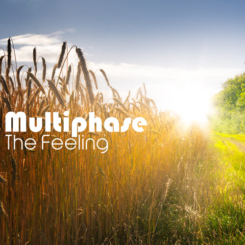 Multiphase - The Feeling (Preview) - Yellow Sunshine Explosion Recordings