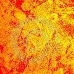 Mongo Lloyd - Pastille