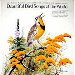 Beautiful Bird Songs of the World