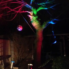 Deejay Fun - Freude am Tanzen live @ MusicBox