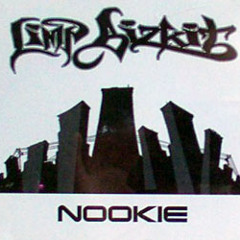 Limp Bizkit - Nookie (Gamenoyse remix)
