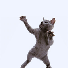 Kadal Band - Cinta Tak Direstui (Funkot)