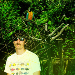 Sun Araw - Heavy Deeds (jiony remix)