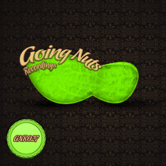 GNR027 Doublekick - The Boss Bureau (incl. Fritz Fridulin and Mad Box Remixes)