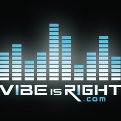 DJ Pullano & Martinson - VibeIsRight Vol 12