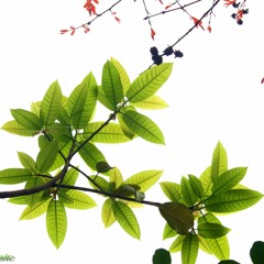 From the begining until now