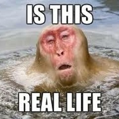 Come Fuck with the Step