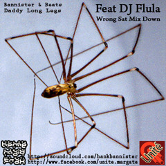 Bannister & Beats Feat DJ Flula - Daddy Long Legs (Wrong Sat Mix Down)