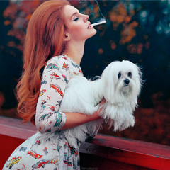 Florence and the Machine featuring Lana Del Rey - Dead Dog Days