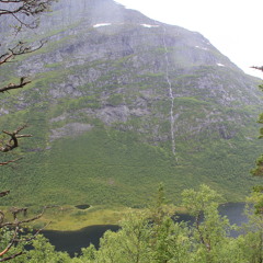 Hallberg - The Enchanted Forest