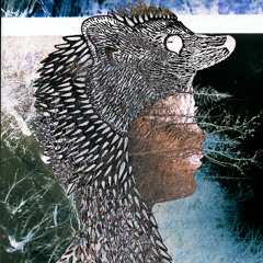 Pack II (Don't Believe Your TV) (Demo)