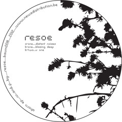 A1. Resoe - Distant Noizes - BAUM008