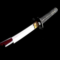 Ninja (Open Class)