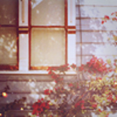 05 바보 (With 정용화 (CNBLUE))