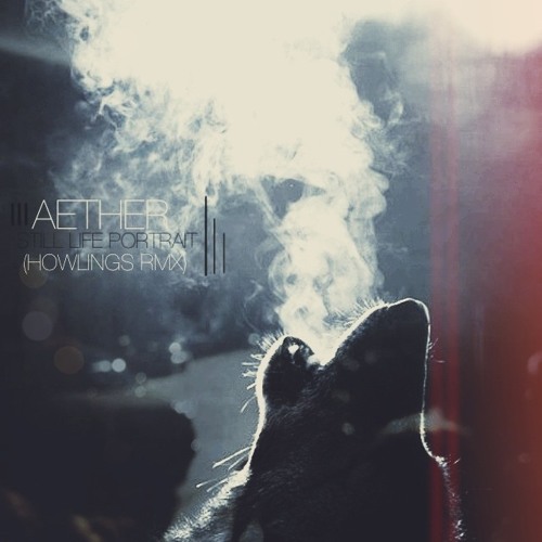 Aether - Still Life Portrait (Howlings RMX)
