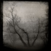 Markus Soyr - Live at Tauron Nowa Muzyka Festival 2012 (NovaFuture Blog exclusive mix)