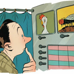 David Sedaris on Undecided Voters in the 2008 Election