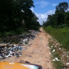Jungle Dump at Punta Gorda