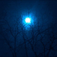 Once In A Full Blue Moon