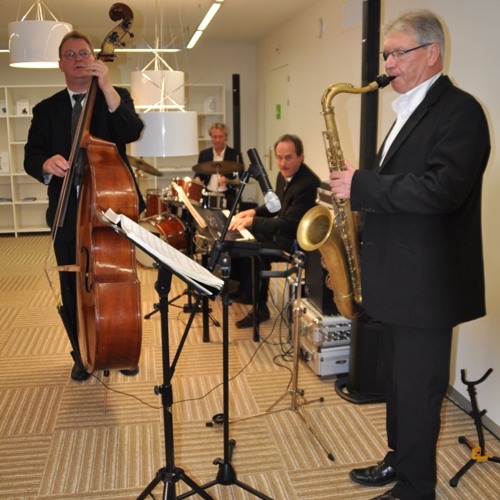 ANIMATION JAZZ GENEVE 079 569 21 92 LOUNGE COZY AMBIANCE SMOOTH MUSIC