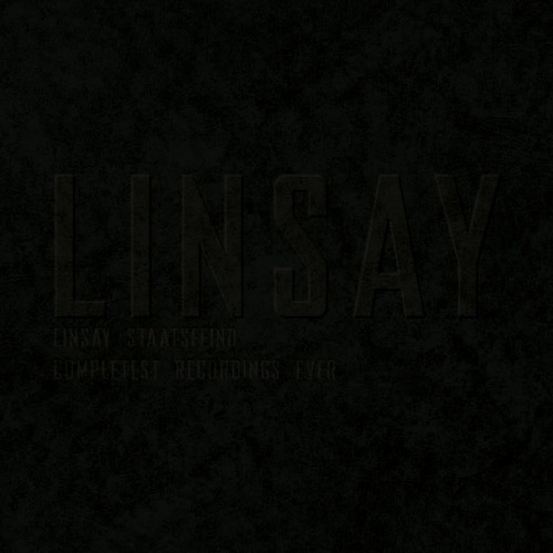 13 Linsay - Staatsfeind (Canal Terror)