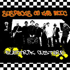 ELECTRIK CUSTARD: Suspects on the mic