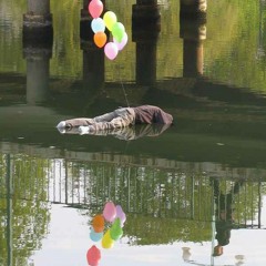 Drug Rug - For The Rest Of Your Life at Where i am