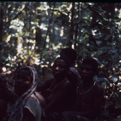 BayAka women singing yeyi, Central African Republic