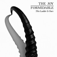 The Joy Formidable - This Ladder is Ours