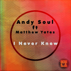 Andy Soul feat. Matthew Yates - I Never Knew (Redus Dub Mix)