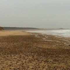 Morcombe Bay