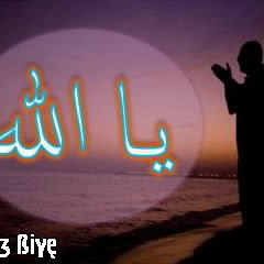 هاني الرفاعي ...