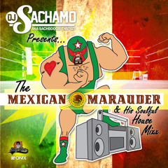 THE MEXICAN MARAUDER
