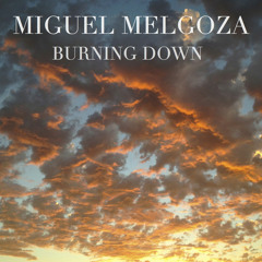 Miguel Melgoza - Burning Down - Single