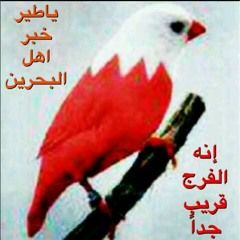 اقوى شعر عن البحرين