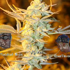 DANK YOU BERRY MUCH - DJ TWISTED STYLE Vs DJ GUSTAVO (TAG TEAM SET)