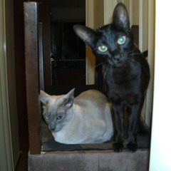 In Love With You (Original Song)